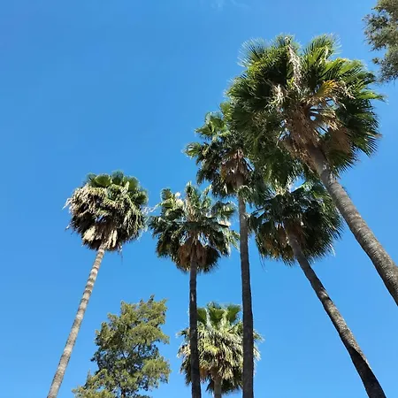 Vas Ciudad